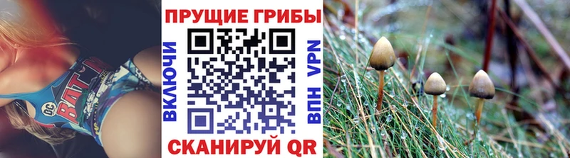 Псилоцибиновые грибы мухоморы  Артёмовск 